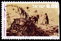 Pioneers clearing the land, serie, circa 1976