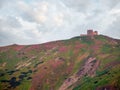 Pip Ivan mount and observatory and rhododendron flowers on slope Royalty Free Stock Photo