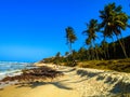 Pipa Beach in Brazil