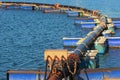 Pipeline on pontoon Royalty Free Stock Photo