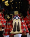 Piper Sporrann on a plaid kilt with black tunic Royalty Free Stock Photo