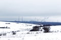Pipes of metallurgical plant on a snowy horizon