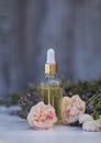 Pipette and a bottle of rose and lavender oil lies on a wooden table in the garden next to the delicate pink fragrant flowers Royalty Free Stock Photo