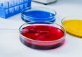 Pipette with drop of color liquid and petri dishes Royalty Free Stock Photo