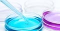 Pipette with drop of color liquid and petri dishes Royalty Free Stock Photo