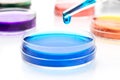 Pipette with drop of color liquid and petri dishes Royalty Free Stock Photo