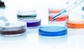 Pipette with drop of color liquid and petri dishes. Royalty Free Stock Photo