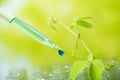 pipette dropping green sample chemical over young sample plant growing in test tube , biotechnology research concept