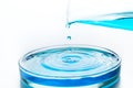 Pipette dropping liquid into Petri dish with blue liquid. Chemical experiments and education. Royalty Free Stock Photo