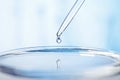 Pipette and petri dish in laboratory Royalty Free Stock Photo