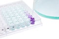 pipette test sample research test lab elisa