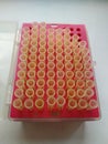 Pipette tips with rack for experiment Royalty Free Stock Photo