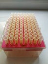 Pipette tips with rack for experiment Royalty Free Stock Photo