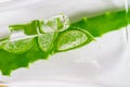 Pipetted Aloe Leaf Extract, Cut Juicy Green Aloe Vera Leaves for Medicine and Cosmetology
