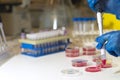 Pipetting Royalty Free Stock Photo