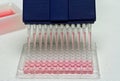 Pipetting experiment Royalty Free Stock Photo