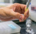 Pipetting Royalty Free Stock Photo