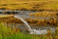 Pumping water into the fields. Royalty Free Stock Photo