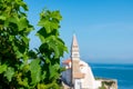 Piran - Grapevine plant with scenic view of Saint George Church in coastal town Piran