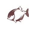 Piranha fish logo design vector. Icon Symbol. Template Illustration Royalty Free Stock Photo