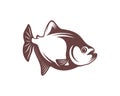 Piranha fish logo design vector. Icon Symbol. Template Illustration Royalty Free Stock Photo