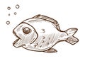 Piranha fish side view hand drawn sketch illustration Royalty Free Stock Photo