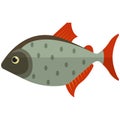 Piranha fish vector icon isolated on white background