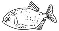 Piranha line art vector , aggressive fish line art