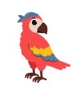 Pirate adventure parrot concept Royalty Free Stock Photo