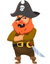 Pirate in cartoon style