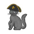 Pirate cat character color sketch vector