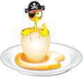 Pirate chicken on plate Royalty Free Stock Photo