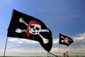 Pirate flag Royalty Free Stock Photo