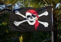 Pirate Flag