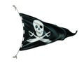 Pirate flag