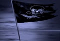 Pirate flag