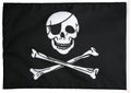 Pirate flag Royalty Free Stock Photo