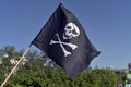 Pirate flag flying in the festival of youth culture Royalty Free Stock Photo