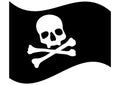 Pirate flag with skull