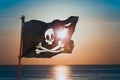 Pirate flag waving with the wind Royalty Free Stock Photo