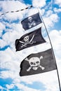Pirate flags in the wind Royalty Free Stock Photo