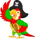 Pirate parrot cartoon Royalty Free Stock Photo