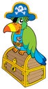 Pirate parrot sitting on chest Royalty Free Stock Photo