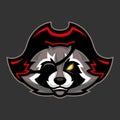 Pirate raccoon mascot, Sport or esports racoon logo emblem
