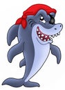 Pirate shark Royalty Free Stock Photo