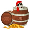 Pirate skeleton Royalty Free Stock Photo