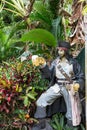 Pirate Statue with Beer Royalty Free Stock Photo