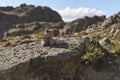 Pirca, piles of stones that serve as trail marker for hikers, Cordoba, Argentina Royalty Free Stock Photo