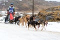 Pirena Advance 2012 sleigh race