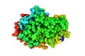 Pirin in complex with bisamide compound 2. Space-filling molecular model. Rainbow coloring from N to C. 3d illustration